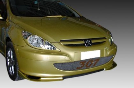 maska-fanarion-gia-peugeot-307