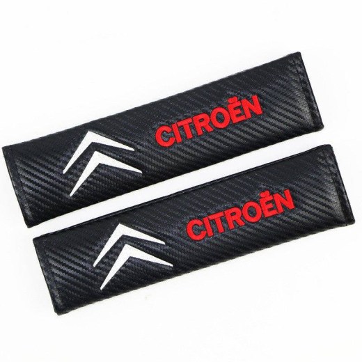 51577585_2260977554117356_3168035583394054144_n