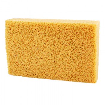 sfouggari-king-sponge-korali